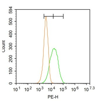 HAVCR1 Rabbit Polyclonal Antibody