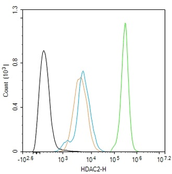 Phospho-HDAC2 (Ser394) Rabbit Polyclonal Antibody