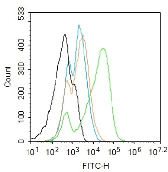 NCR1 Rabbit Polyclonal Antibody