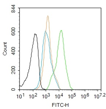 NCR1 Rabbit Polyclonal Antibody