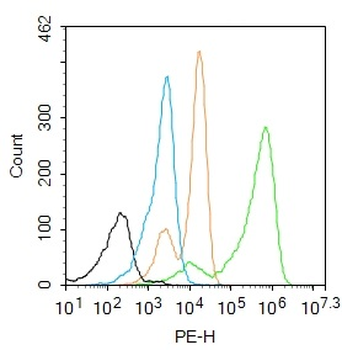 HOXB4 Rabbit Polyclonal Antibody