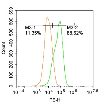IDH2 Rabbit Polyclonal Antibody