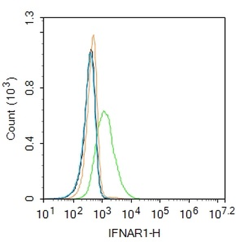 IFNAR1 Rabbit Polyclonal Antibody