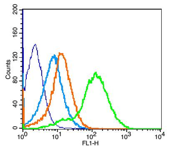 Phospho-IGF1R (Tyr980) Rabbit Polyclonal Antibody