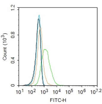 Phospho-IGF1R (Tyr980) Rabbit Polyclonal Antibody