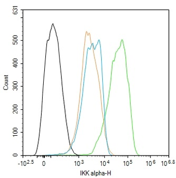 IKK alpha Rabbit Polyclonal Antibody