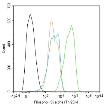 Phospho-IKK alpha (Thr23) Rabbit Polyclonal Antibody