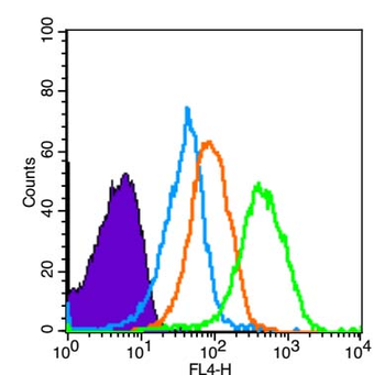 Phospho-IKK beta (Tyr188) Rabbit Polyclonal Antibody
