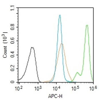 Lamin B Receptor Rabbit Polyclonal Antibody