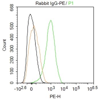 Rabbit IgG / PE