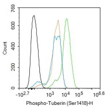 Phospho-Tuberin (Ser1418) Rabbit Polyclonal Antibody