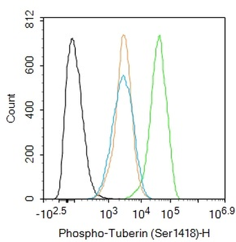 Phospho-Tuberin (Ser1418) Rabbit Polyclonal Antibody