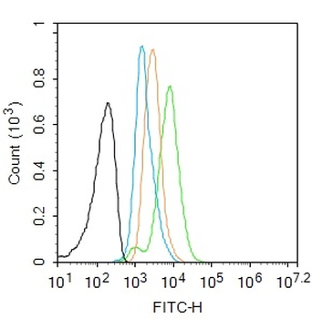 Phospho-GATA3 (Ser308) Recombinant Rabbit Monoclonal Antibody