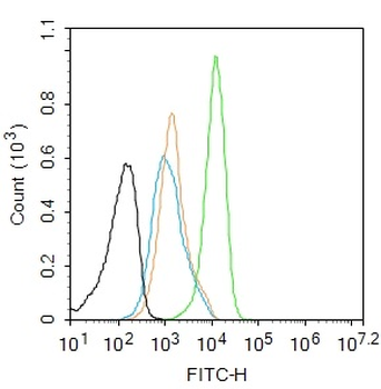 Phospho-GATA3 (Ser308) Recombinant Rabbit Monoclonal Antibody