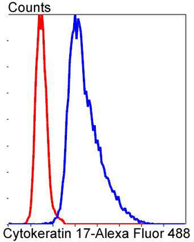 Cytokeratin 17 Recombinant Rabbit Monoclonal Antibody