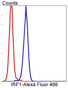 IRF1 Recombinant Rabbit Monoclonal Antibody