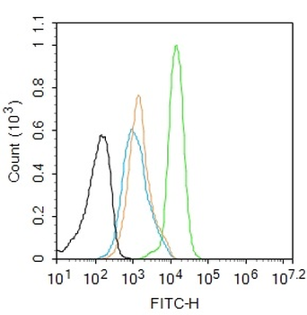 Phospho-IKB alpha (Ser32) Recombinant Rabbit Monoclonal Antibody