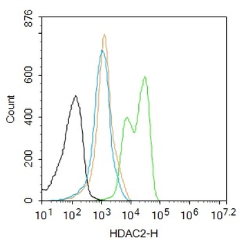 HDAC2 Recombinant Rabbit Monoclonal Antibody