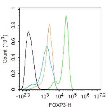 FOXP3 Recombinant Rabbit Monoclonal Antibody