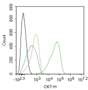 CK7 Recombinant Rabbit Monoclonal Antibody