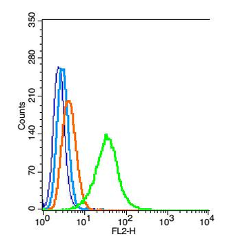 Ube2B Rabbit Polyclonal Antibody