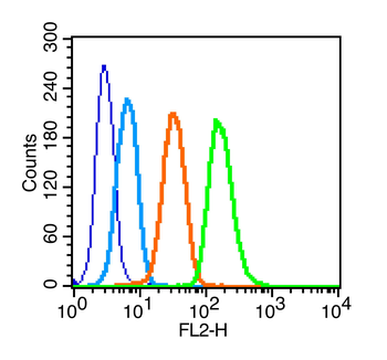 Phospho-c-Kit (Tyr721) Rabbit Polyclonal Antibody