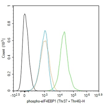 Phospho-eIF4EBP1 (Thr37 + Thr46) Rabbit Polyclonal Antibody