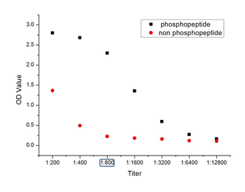 Phospho-BTK (Tyr223) Rabbit Polyclonal Antibody