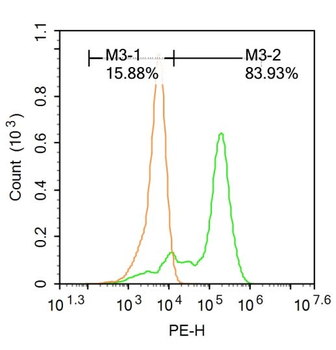 Phospho-BTK (Tyr223) Rabbit Polyclonal Antibody