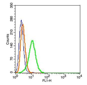 Tap1 Rabbit Polyclonal Antibody
