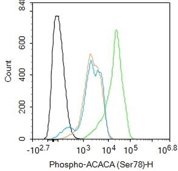 Phospho-ACACA (Ser78) Rabbit Polyclonal Antibody