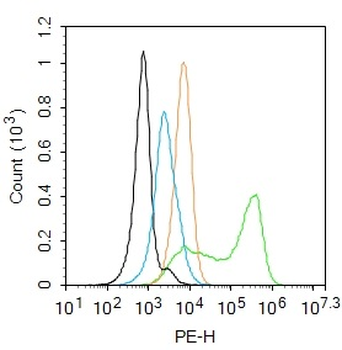 Phospho-ADRB2 (Ser346) Rabbit Polyclonal Antibody