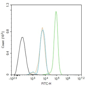ADK Rabbit Polyclonal Antibody