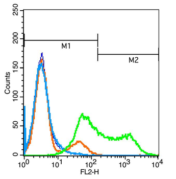 Phospho-ALK (Tyr1604) Rabbit Polyclonal Antibody