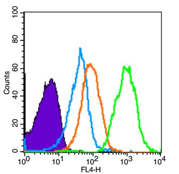 Phospho-AMPK alpha-1 (Ser496+Ser502) Rabbit Polyclonal Antibody