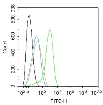 ALS2CR2 Rabbit Polyclonal Antibody