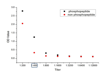Phospho-ATG1 (Ser556) Rabbit Polyclonal Antibody