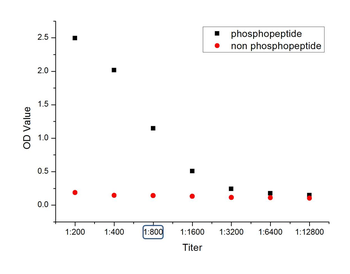 Phospho-PAK4 (Ser99) Rabbit Polyclonal Antibody
