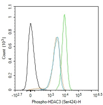 Phospho-HDAC3 (Ser424) Rabbit Polyclonal Antibody
