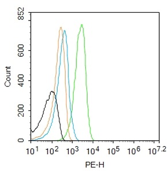 CYLD Rabbit Polyclonal Antibody