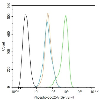 Phospho-cdc25A (Ser76) Rabbit Polyclonal Antibody