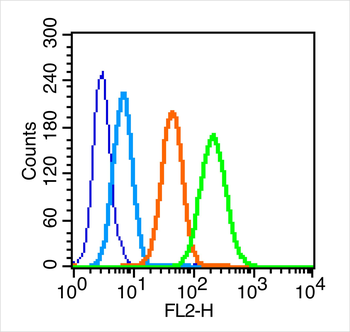 CEA Rabbit Polyclonal Antibody