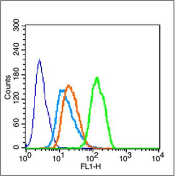 Phospho-CEBP beta (Thr235) Rabbit Polyclonal Antibody