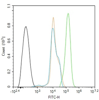 PBK Rabbit Polyclonal Antibody