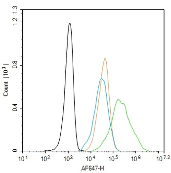 CK18 Rabbit Polyclonal Antibody