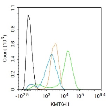 EZH2 Rabbit Polyclonal Antibody