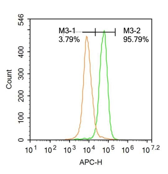 EZH2 Rabbit Polyclonal Antibody