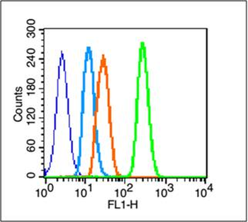 Phospho-EGFR (Ser991) Rabbit Polyclonal Antibody