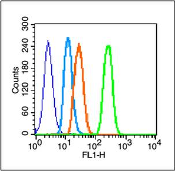 Phospho-EGFR (Tyr998) Rabbit Polyclonal Antibody