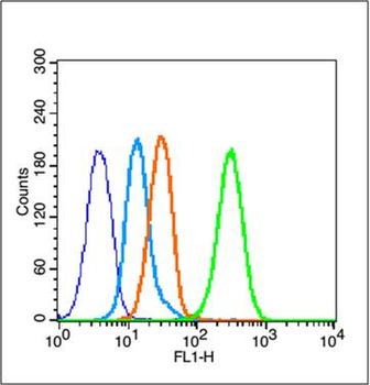 Phospho-Estrogen Receptor alpha (Ser118) Rabbit Polyclonal Antibody